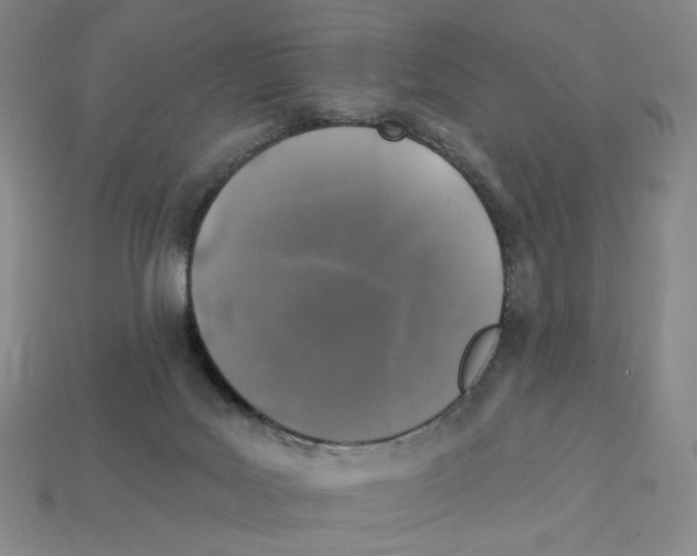 X0000112890027200910021423