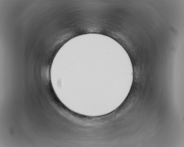X0000112890028200910021423