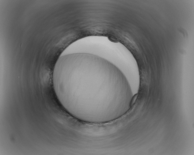 X0000112890029200910021423