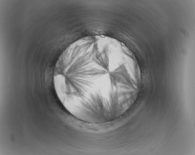 X0000112890030200910021423