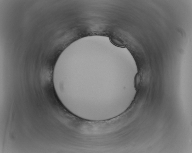 X0000112890033200910021423