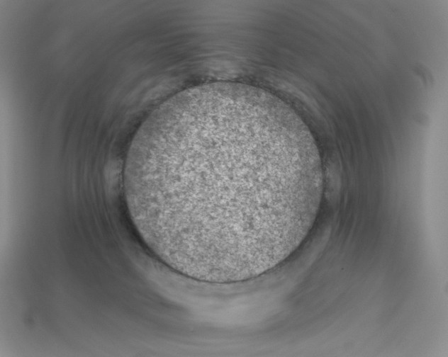 X0000112890034200910021423