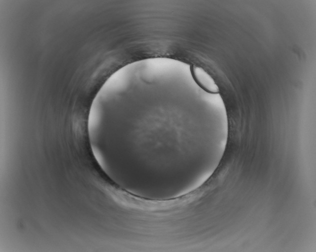 X0000112890035200910021423