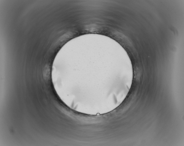 X0000112890036200910021423