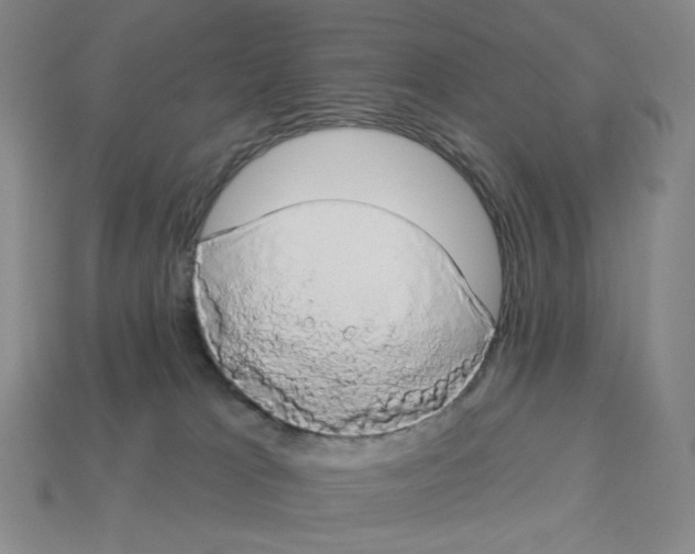 X0000112890037200910021423
