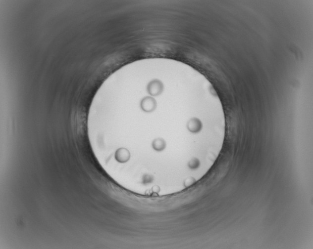 X0000112890038200910021423