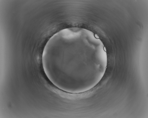 X0000112890039200910021423