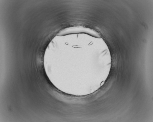 X0000112890040200910021423