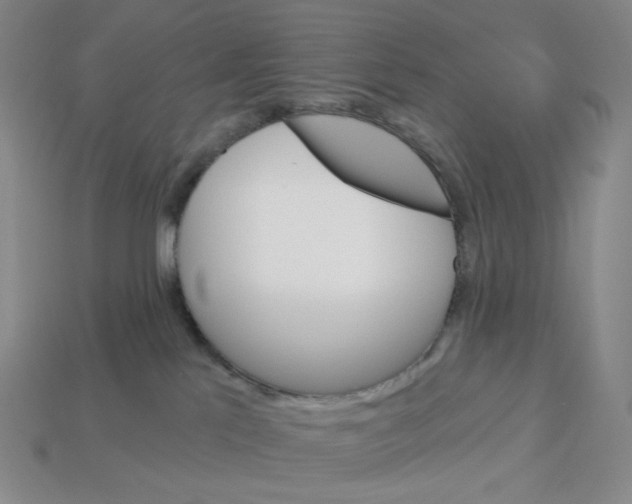 X0000112890041200910021423