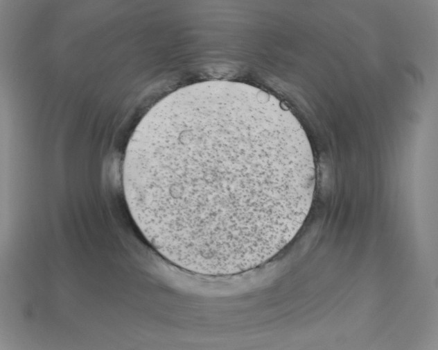 X0000112890042200910021423