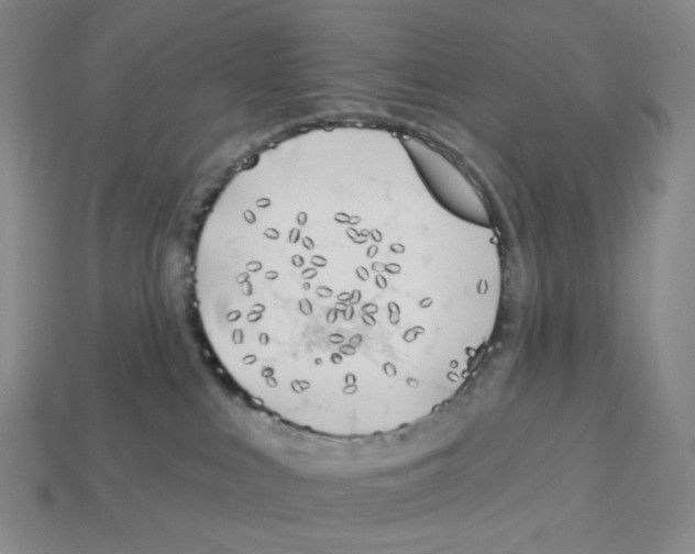 X0000112890043200910021423
