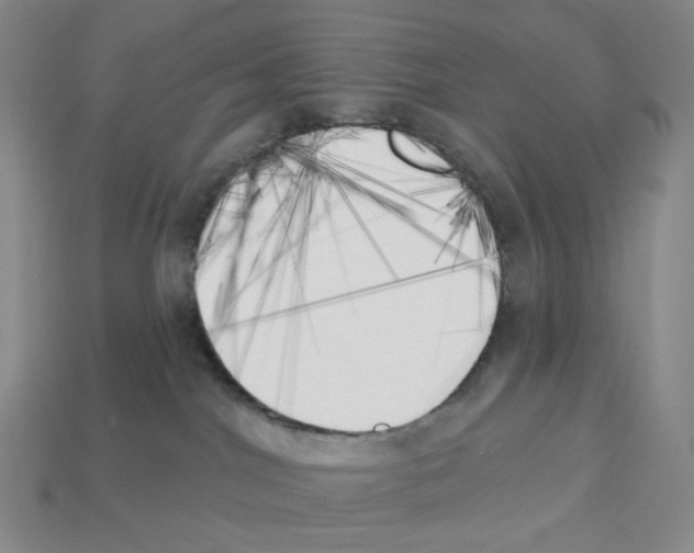 X0000112890044200910021423