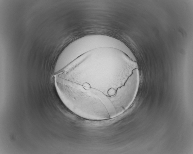 X0000112890045200910021423