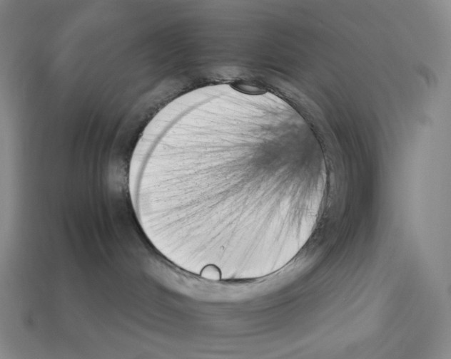 X0000112890048200910021423