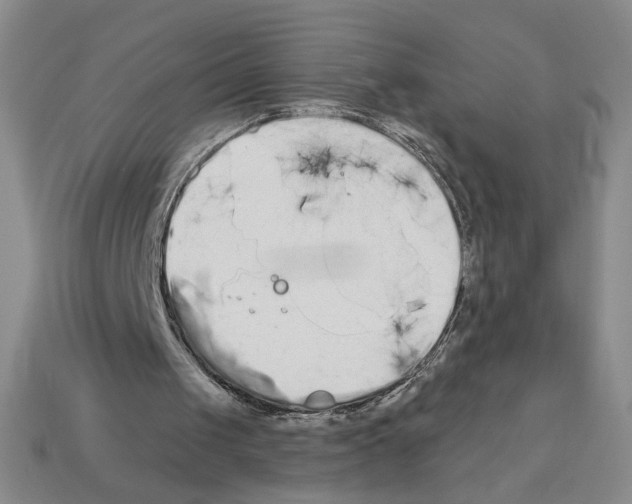 X0000112890049200910021422