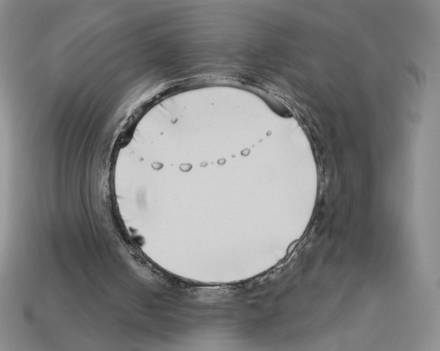 X0000112890050200910021422