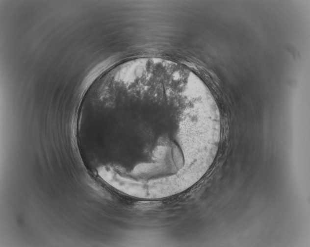 X0000112890051200910021422