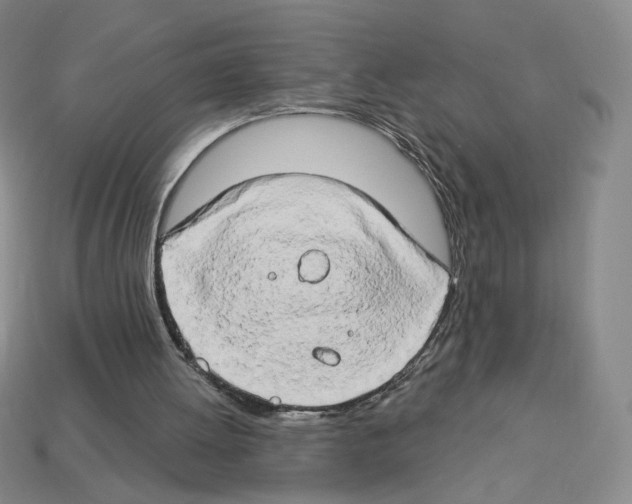 X0000112890052200910021422