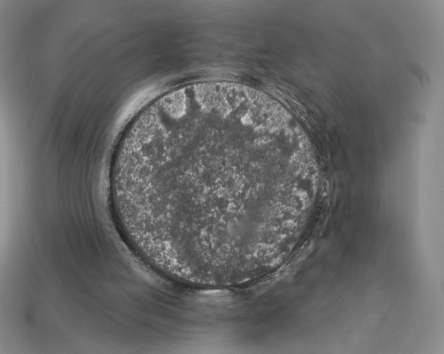 X0000112890053200910021422