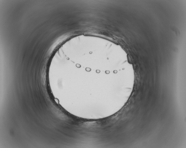 X0000112890054200910021422