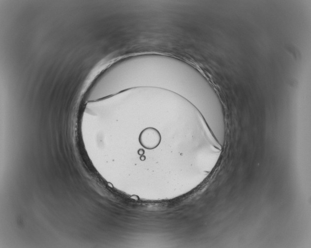 X0000112890056200910021422