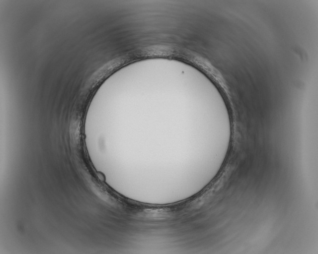 X0000112890057200910021422