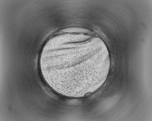 X0000112890058200910021422