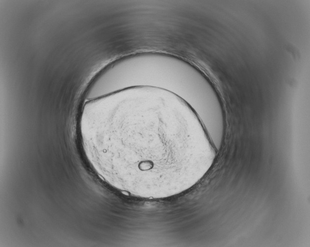 X0000112890060200910021422