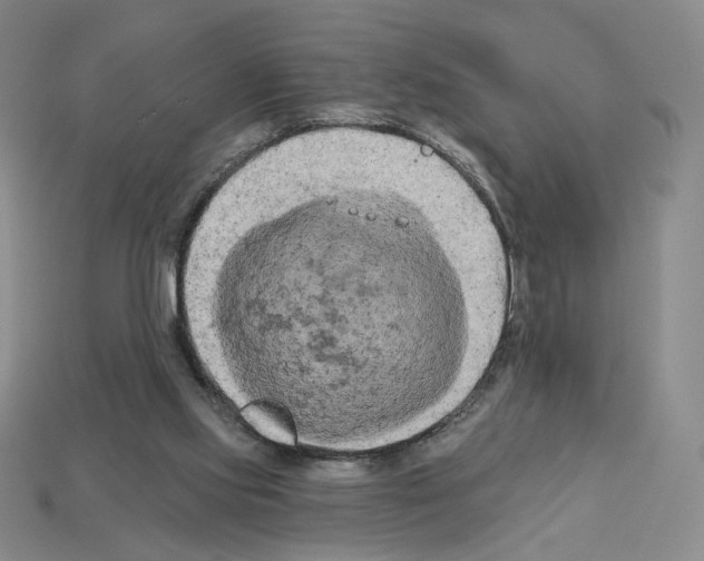X0000112890061200910021422