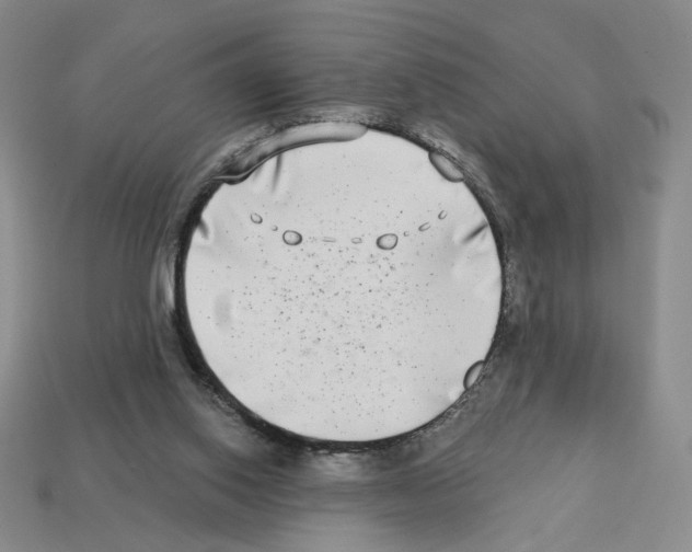 X0000112890062200910021422