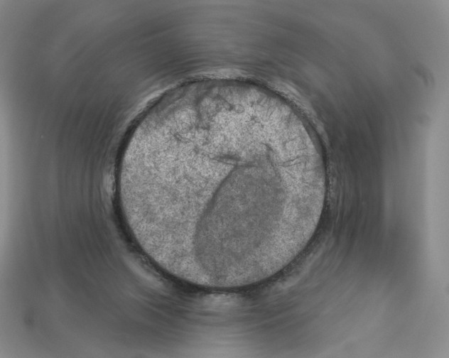 X0000112890063200910021422