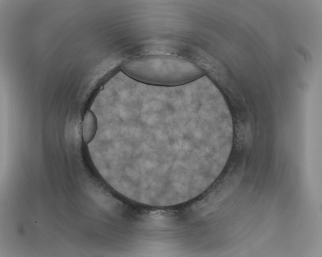 X0000112890064200910021422
