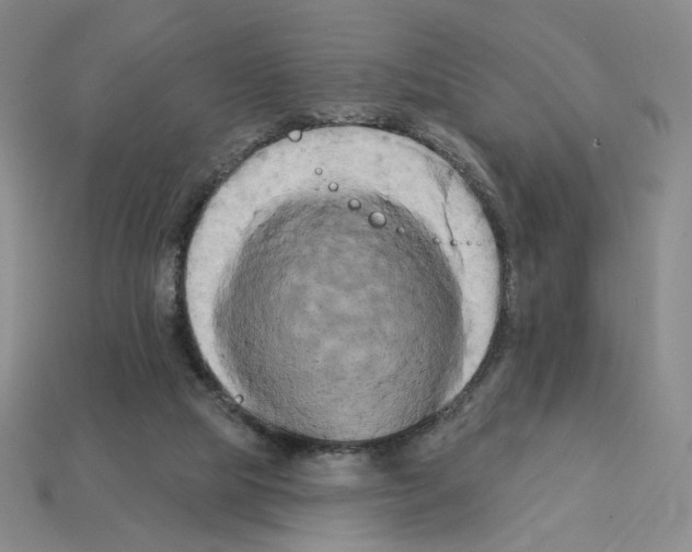 X0000112890065200910021422