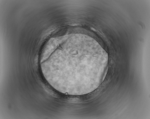 X0000112890066200910021422