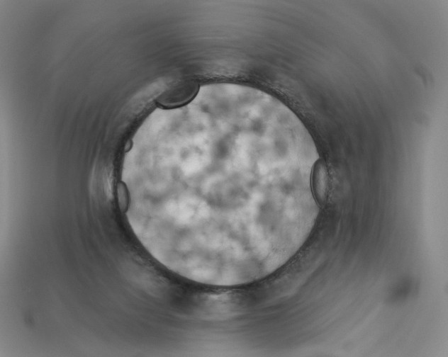 X0000112890068200910021423