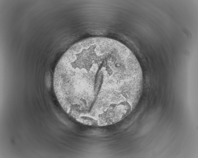 X0000112890069200910021423