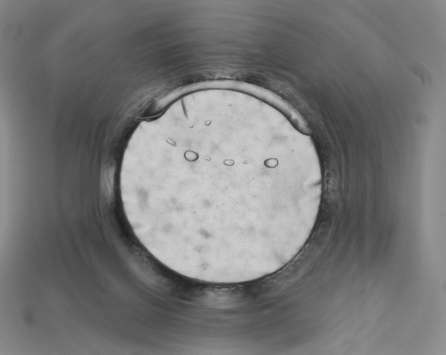 X0000112890070200910021423