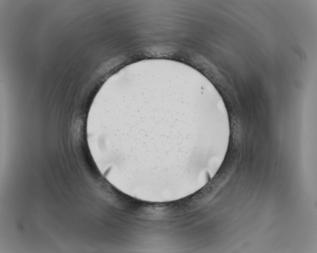X0000112890071200910021423