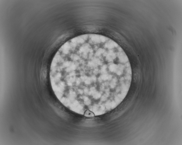 X0000112890072200910021423