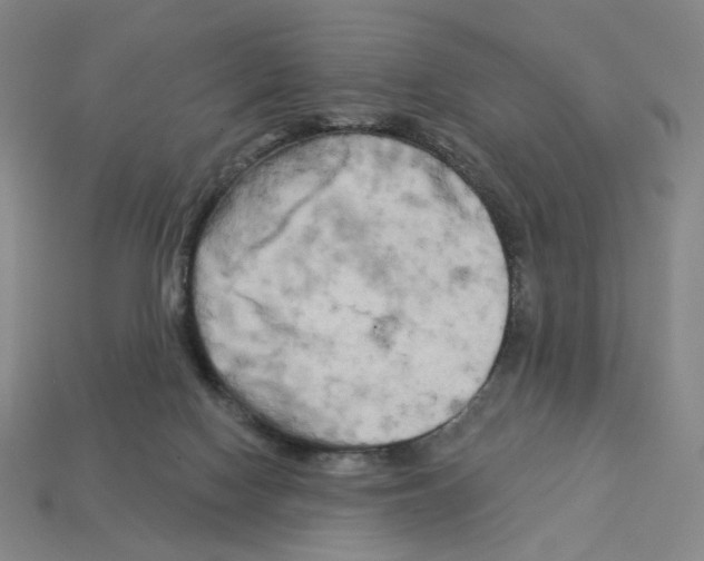 X0000112890074200910021423