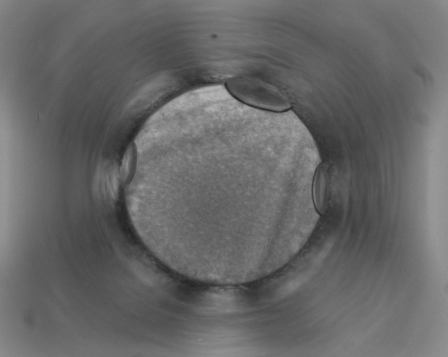 X0000112890076200910021423