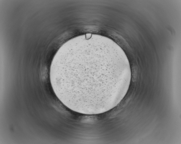 X0000112890077200910021423
