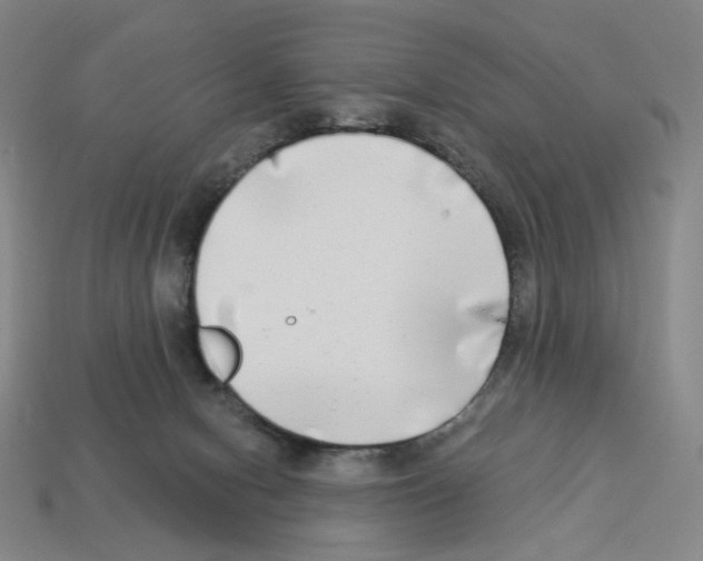 X0000112890078200910021423