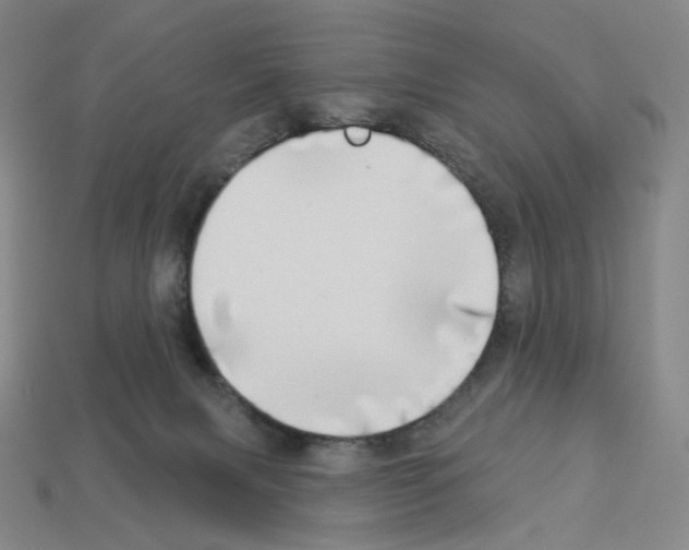 X0000112890079200910021423