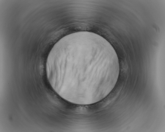 X0000112890080200910021423