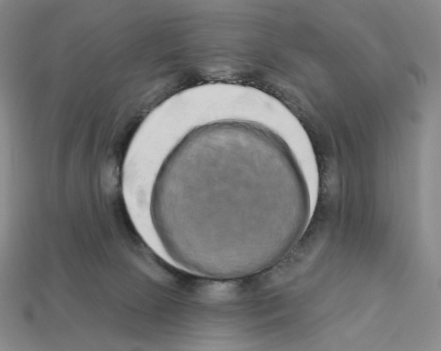 X0000112890081200910021423