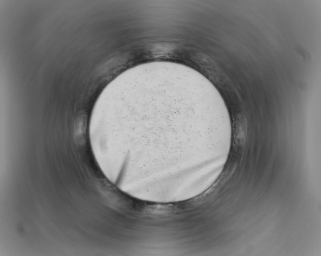 X0000112890082200910021423