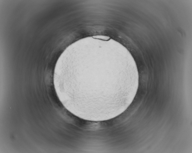 X0000112890083200910021423