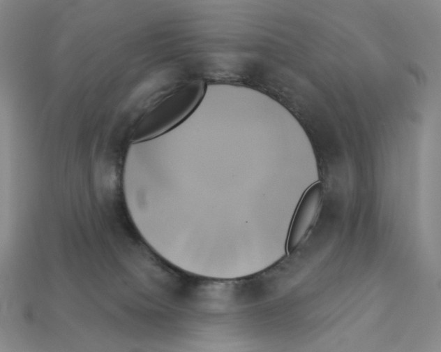 X0000112890084200910021423