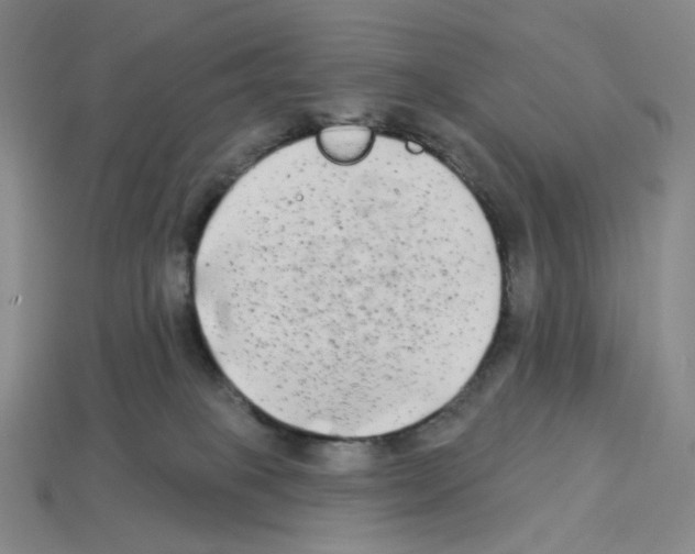 X0000112890085200910021423